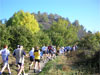 course du bois du cazier
